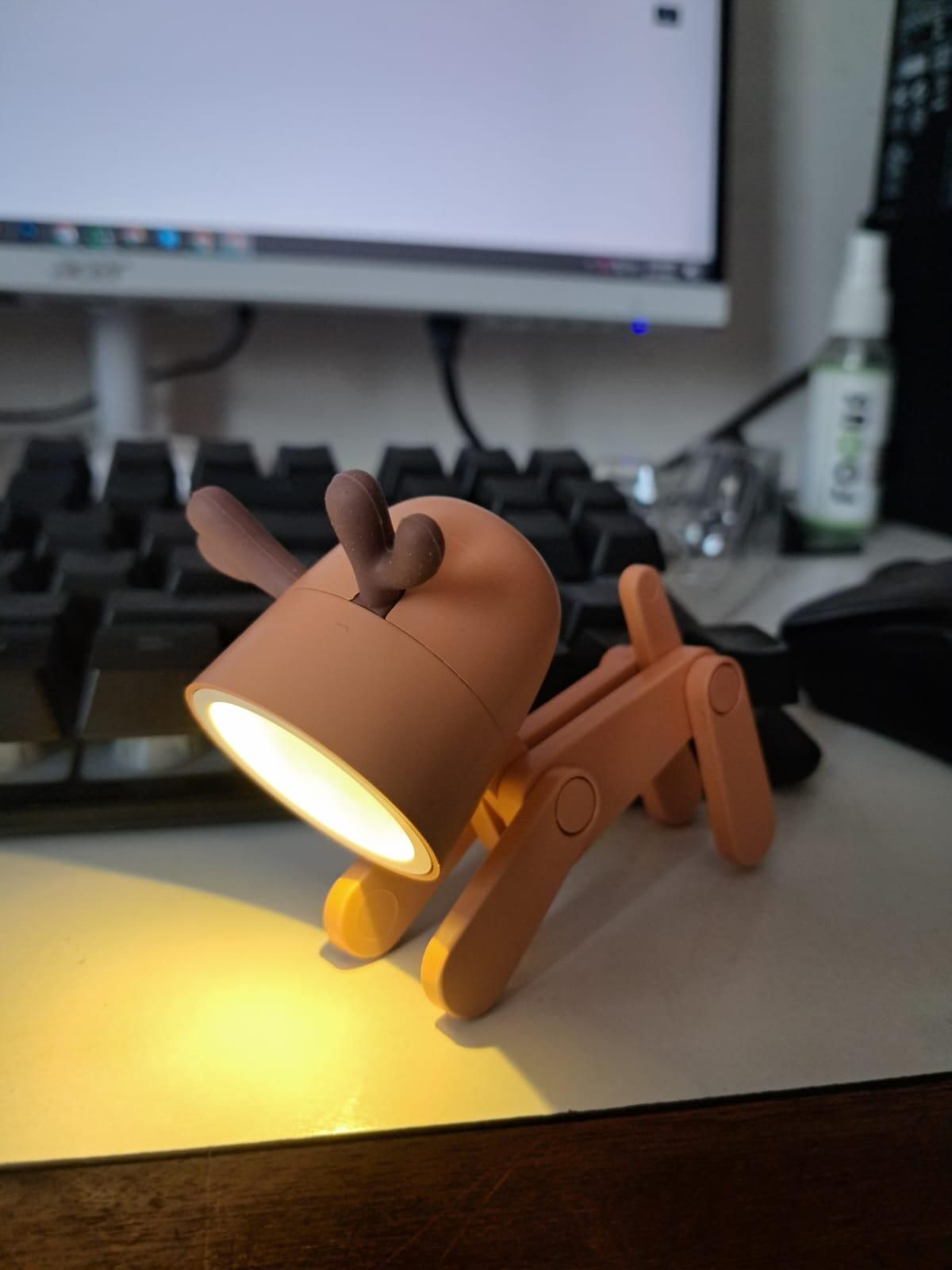 Mini LED Desk Lamp(Random color)