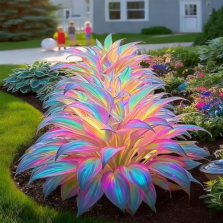 Rainbow Haze Plant Seeds | Buy 1 Get 1 Free