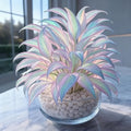 Rainbow Haze Plant Seeds | Buy 1 Get 1 Free