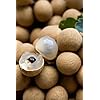 Longan Thai Litchi Seeds  BUY 1 GET 1 FREE!