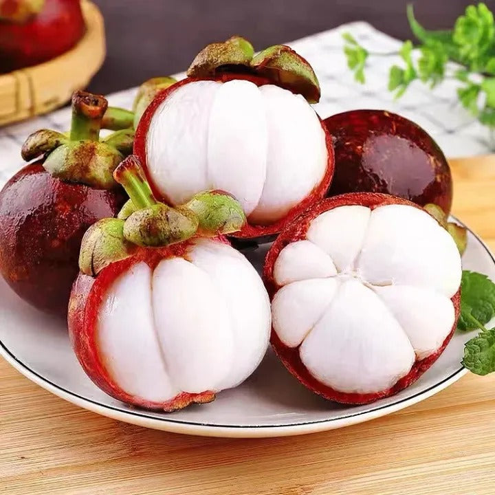 SS Buy 1 Get 1 Free Mangosteen Seeds