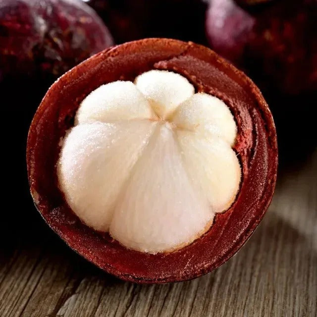 SS Buy 1 Get 1 Free Mangosteen Seeds