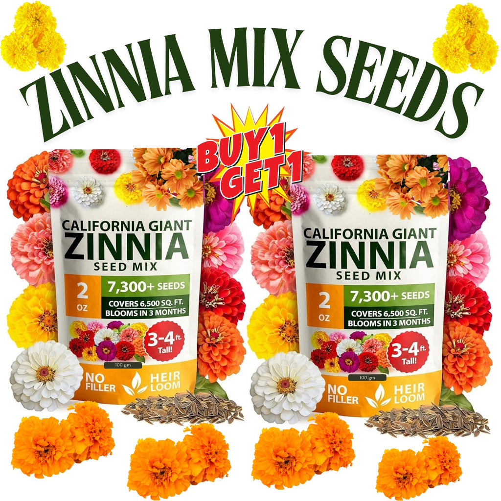 Double Zinnia Mixed Color Seeds Easy-Grow Heirloom Blooms for Your Garden Buy 1 Get 1 Free