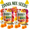 Double Zinnia Mixed Color Seeds Easy-Grow Heirloom Blooms for Your Garden Buy 1 Get 1 Free