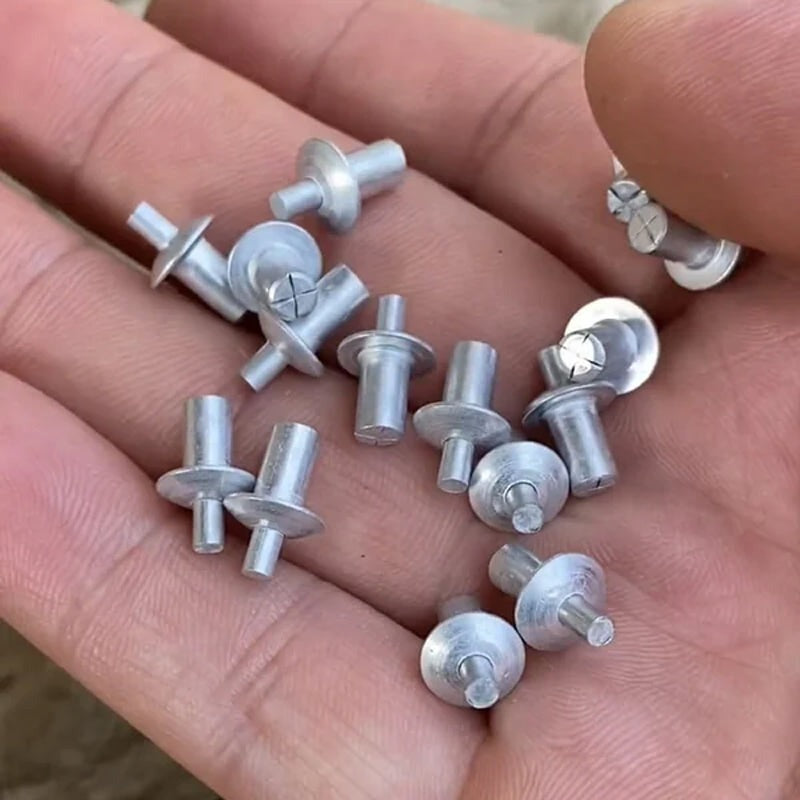 100 PCS Drive Rivets & Countersunk Rivets