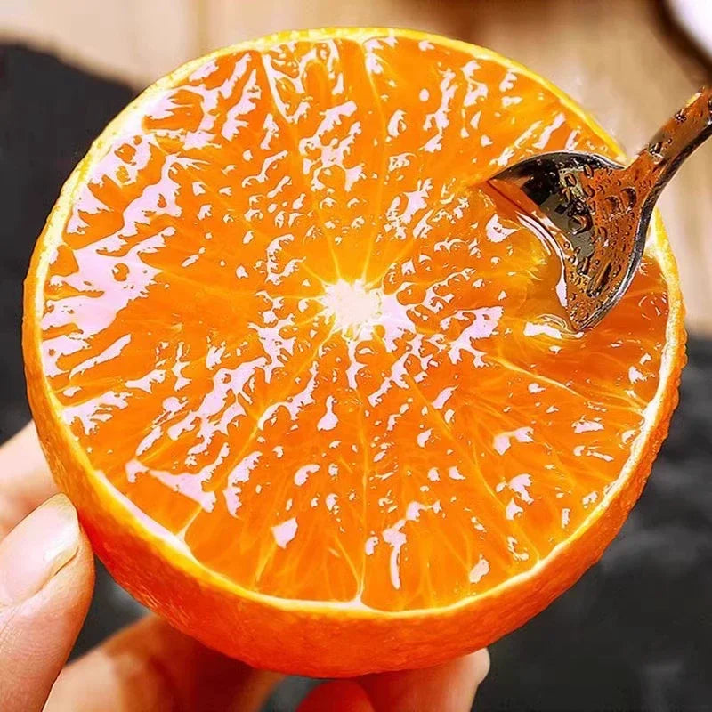 AI Imported Jelly Orange Seeds Pack Of 2