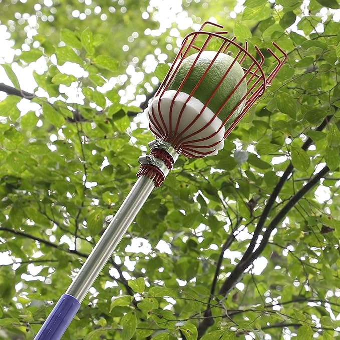 Foot Fruit Picker Tool with Stainless Steel Connecting Pole