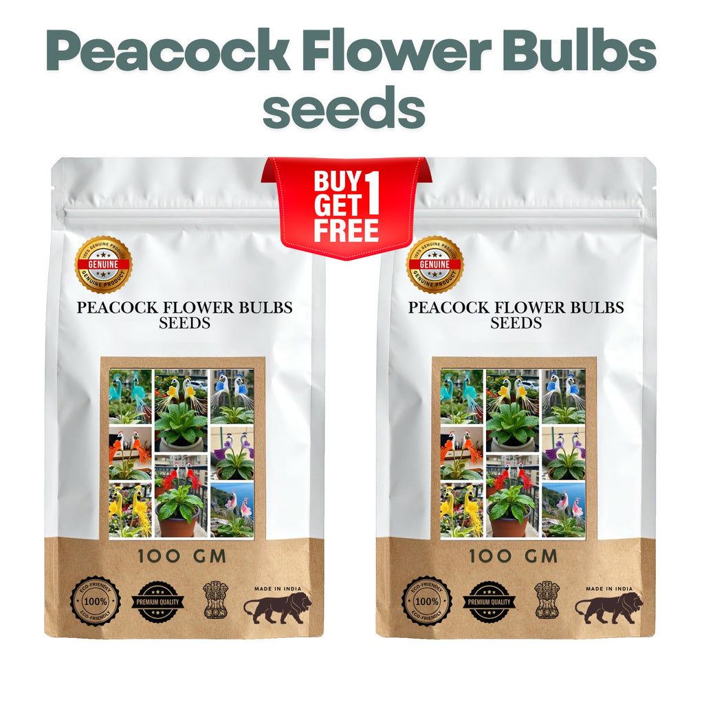 Peacock Flower Bulbs — Plant hope, watch splendor bloom! BUY 1 GET 1 FREE!