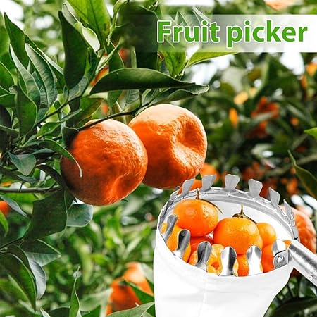 Fruit Plucker with Extendable Alloy Material Telescopic Pole Equipped with Net and Tree Stick Easy to Assemble