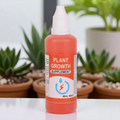Plant growth pack of 1