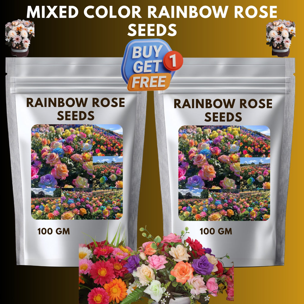Mixed Color Rainbow Rose Seeds – Perennial Flower Seeds / Large Flowers / Easy to Grow  BUY 1 GET 1 FREE!