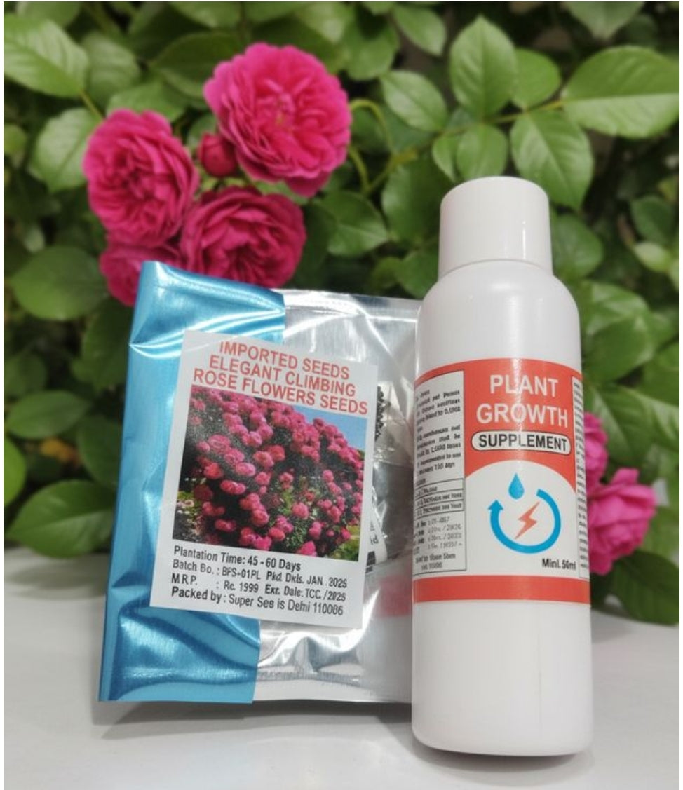 AI elegant climbing rose flower seeds pack 2(100 seeds)