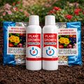 Rose flower seeds AND PLANT GROWTH SUPPLEMENTS (pack of 2)