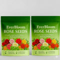 EVER BLOOM ROSE SEEDS( PACK OF 2) AND 1 PLANT GROWTH