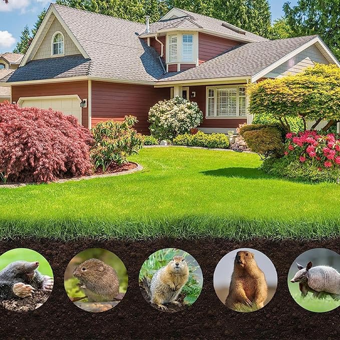 Mouse Repellent Pills(10pcs)