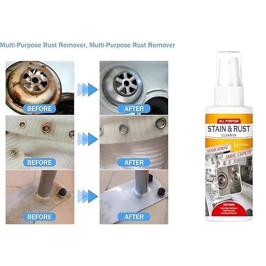 Stain & Rust Remover Spray 100ml (pack1)