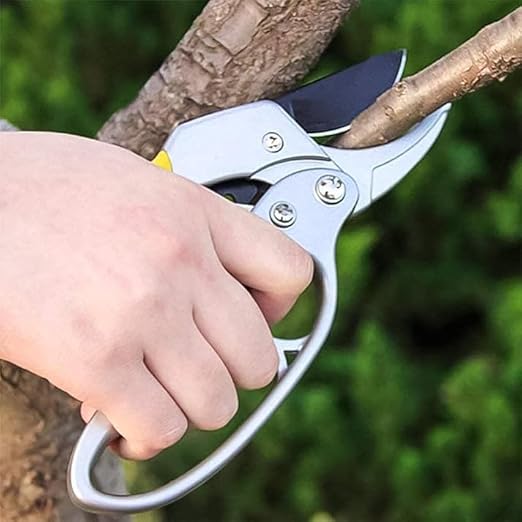 Gardening Scissor Stainless Steel Garden Snip with Safety Lock