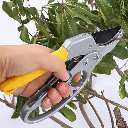 Gardening Scissor Stainless Steel Garden Snip with Safety Lock