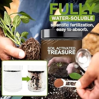 Treasure Soil Activator for Plants 100 Gram-Pack of 1