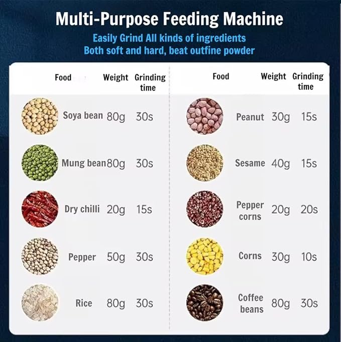 200W Stainless Steel Mixer Grinder for Masala & Herbs