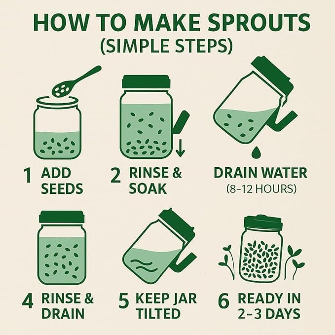SPROUT MAKER JAR 720ML