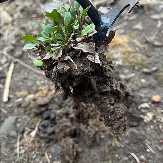 Garden Weeder Tool Digging