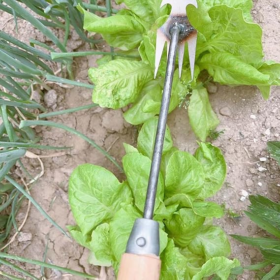 Garden Weeder Tool Digging