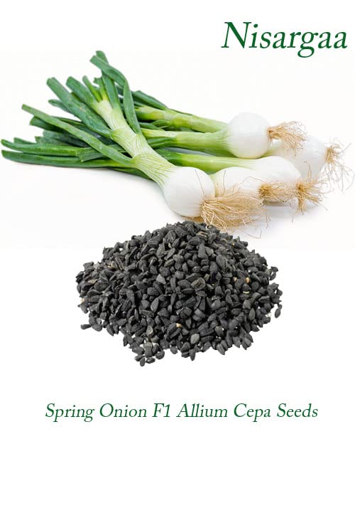 Spring Onion Seeds and Free Plant Growth Serum pack of 2