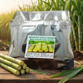 Imported Green Skinned Mini Sugarcane Seeds and Plant Booster