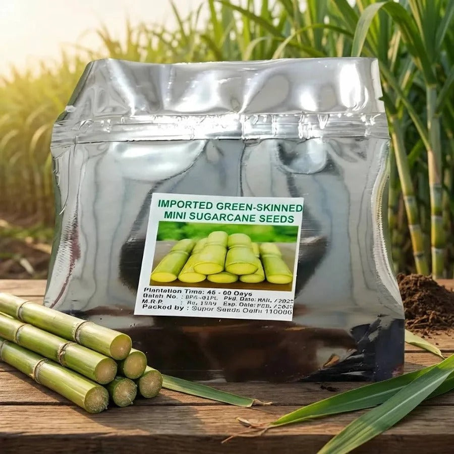 Imported Green Skinned Mini Sugarcane Seeds and Plant Booster