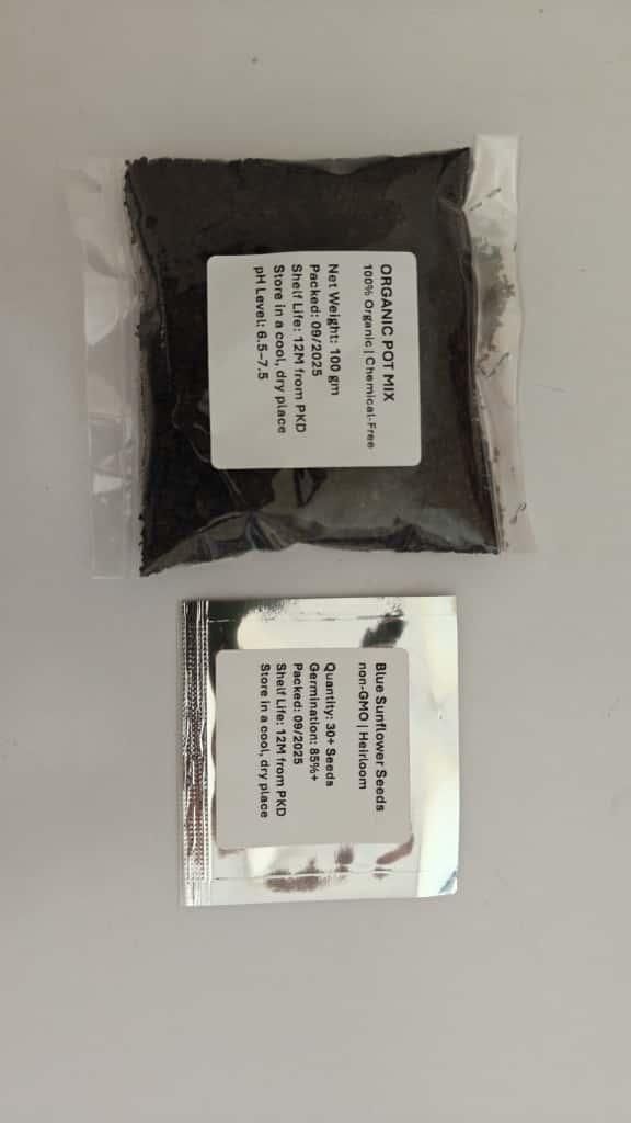 Blue Flame Sunflower Seeds and organic pot mix