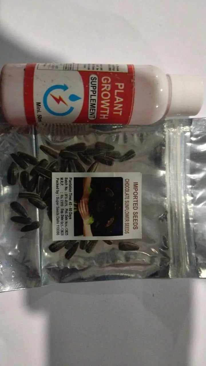 Chocolate Sunflower Seeds and plant growth