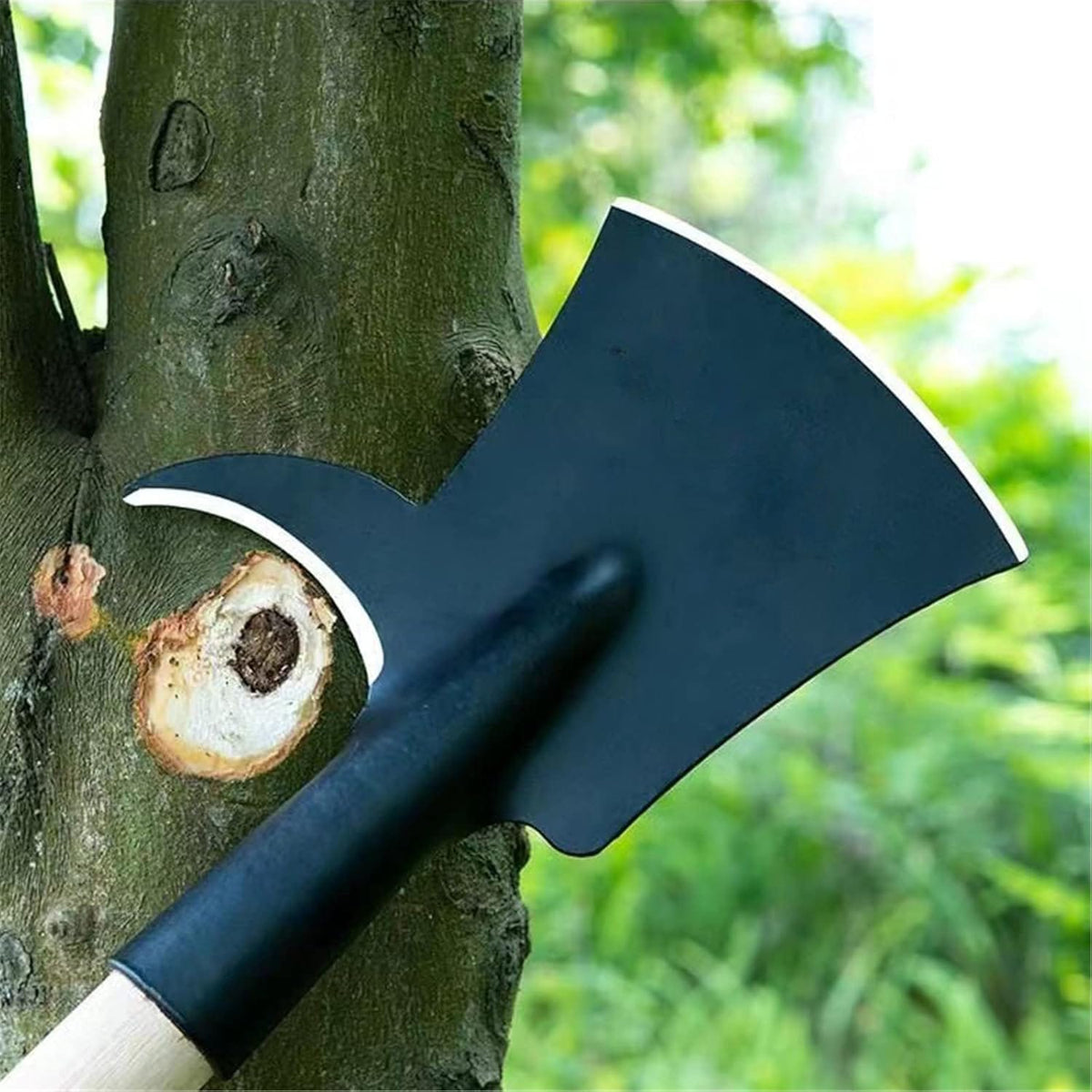 Palm Tree Trimmer