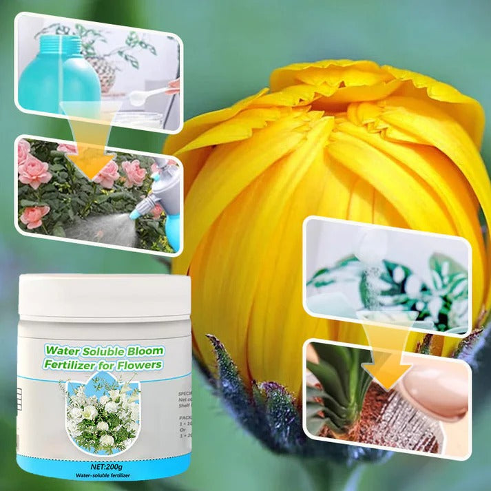 Water Soluble Bloom Fertilizer for Flowers BUY 1 GET 1 FREE