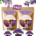 WISTERIA SEEDS- THE GARDEN’S CASCADING BUY 1 GET 1 FREE!